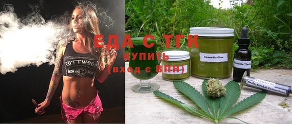 индика Абаза
