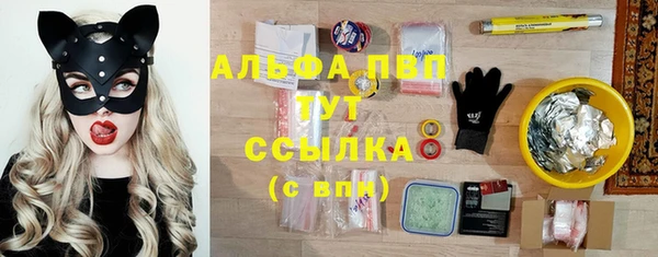 индика Абаза